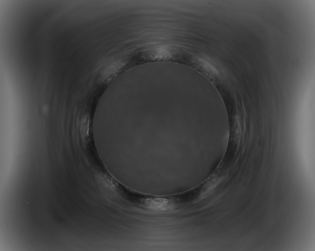 X0000084530230200703021428