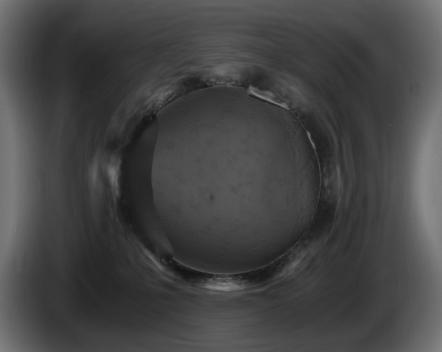 X0000084530231200703021428