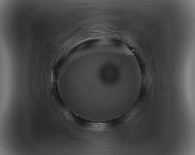 X0000084530233200703021428