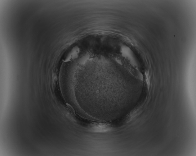 X0000084530235200703021428