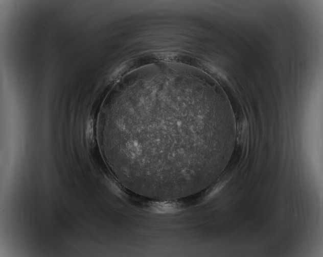 X0000084530238200703021428