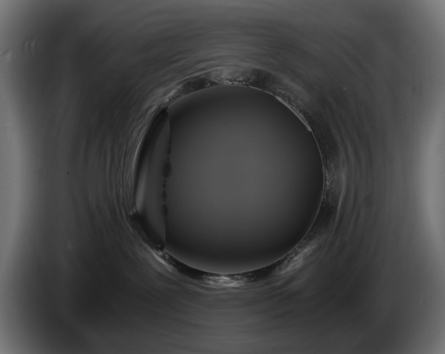 X0000084530239200703021428