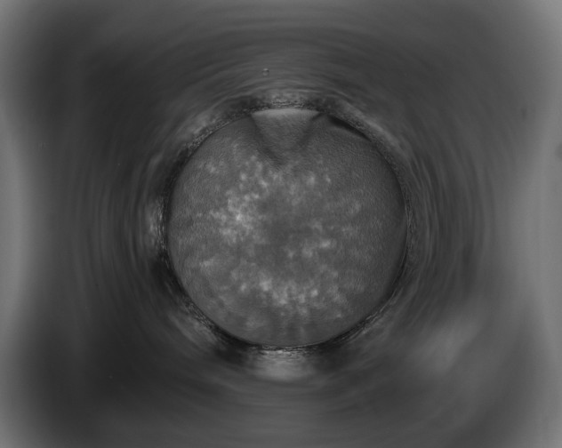 X0000084530240200703021428