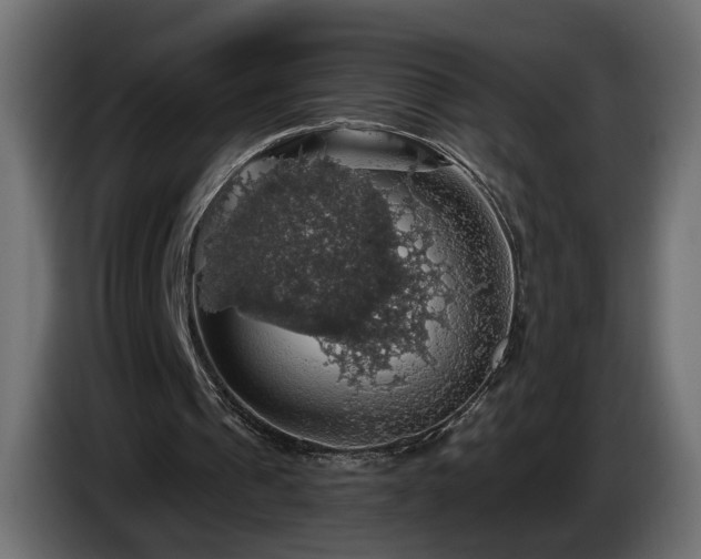 X0000084530241200703021427