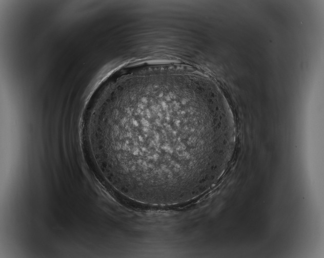 X0000084530242200703021427