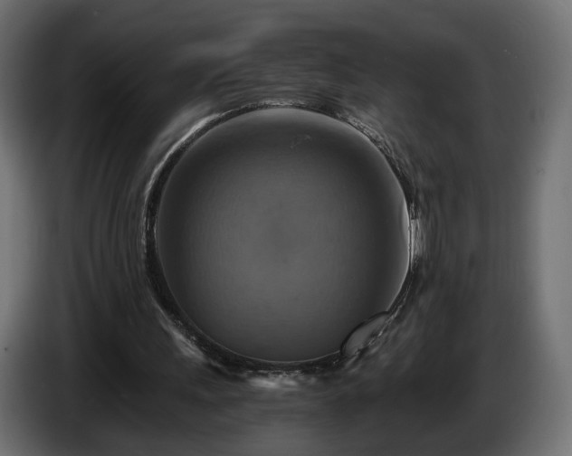 X0000084530243200703021427