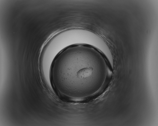 X0000084530244200703021427