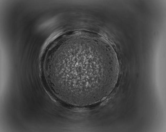 X0000084530245200703021427