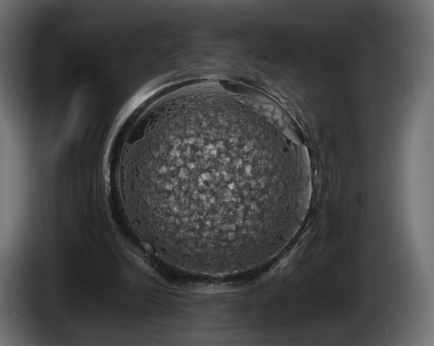 X0000084530246200703021427