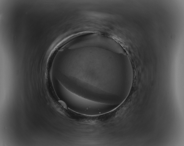 X0000084530247200703021427