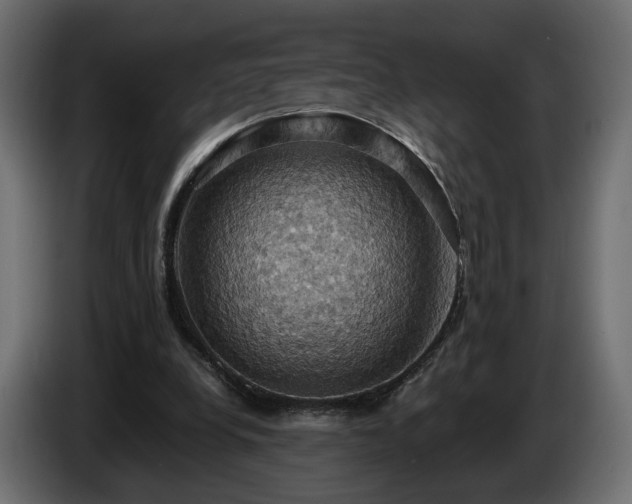 X0000084530248200703021427
