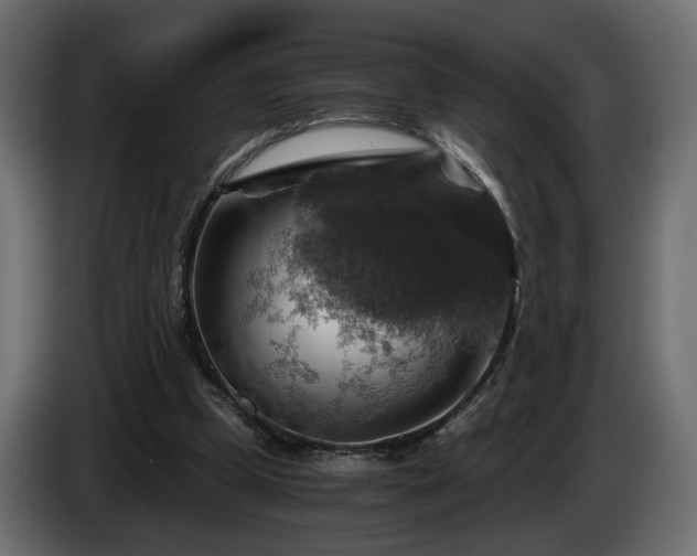 X0000084530249200703021427