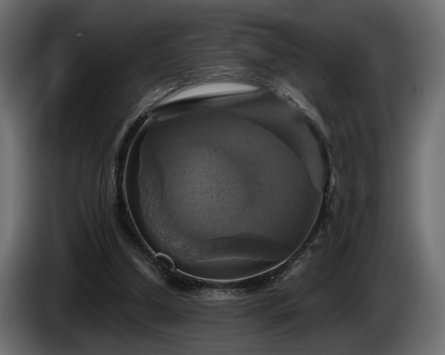 X0000084530250200703021427