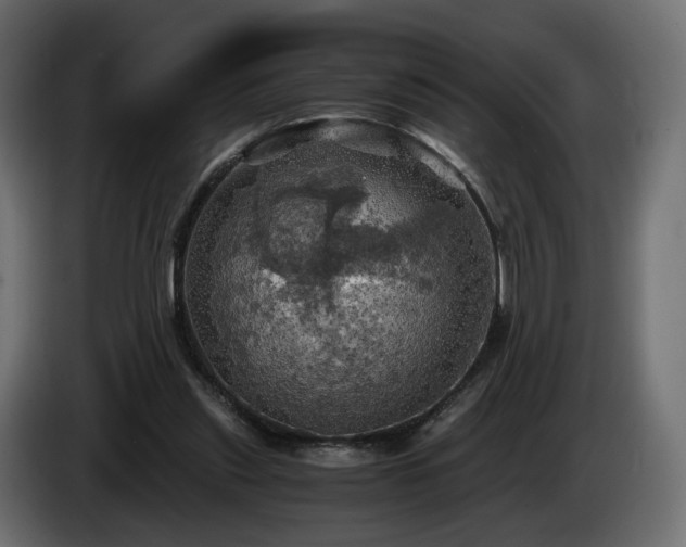 X0000084530253200703021427