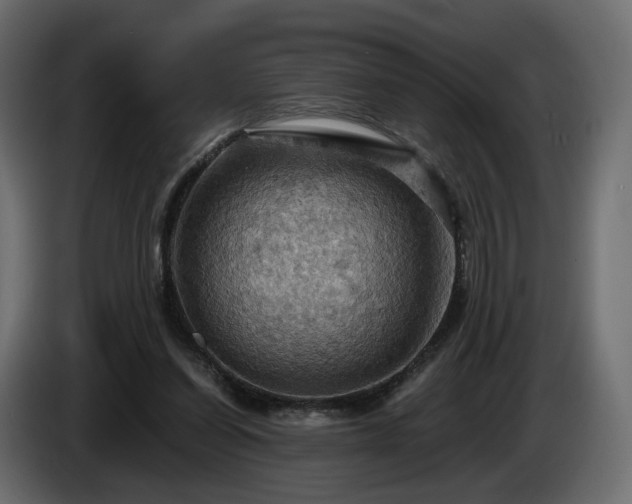 X0000084530254200703021427