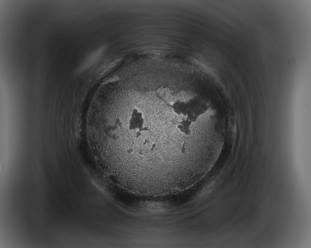 X0000084530255200703021427