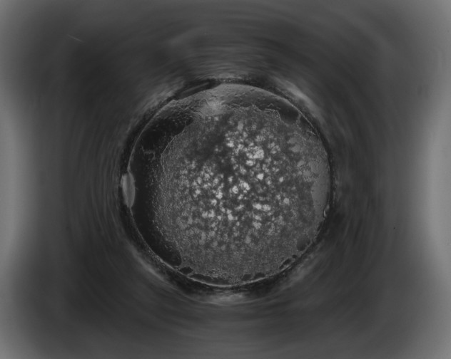 X0000084530257200703021427
