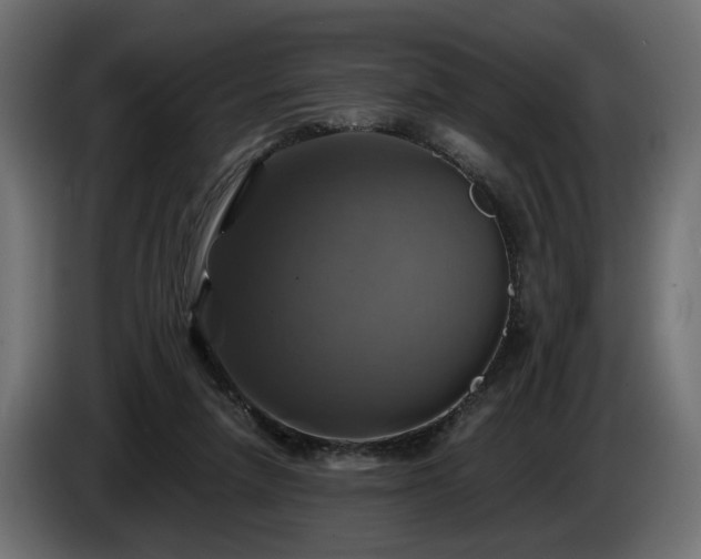 X0000084530258200703021427