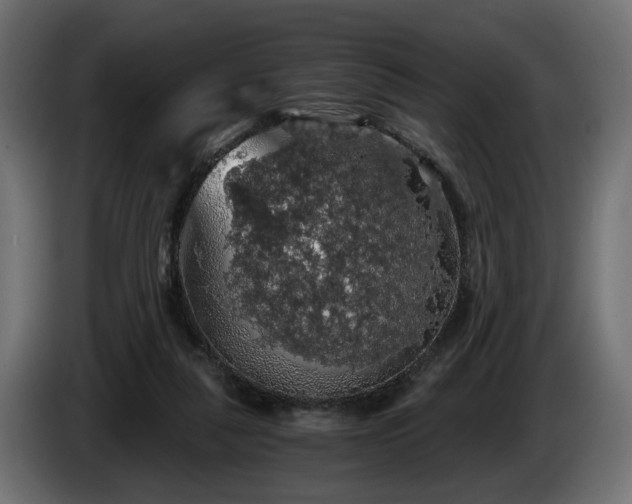 X0000084530259200703021427