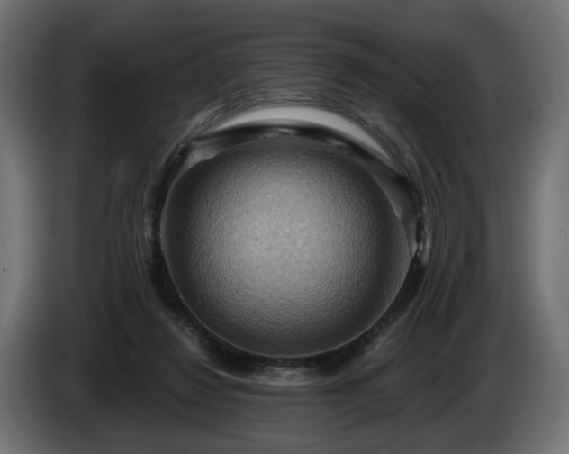 X0000084530260200703021427