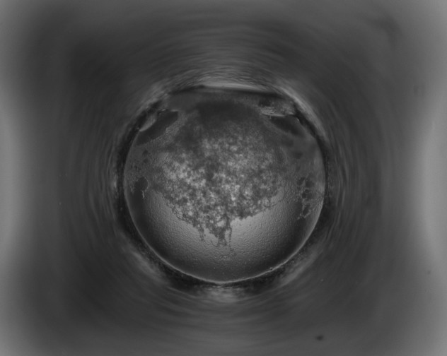 X0000084530261200703021428