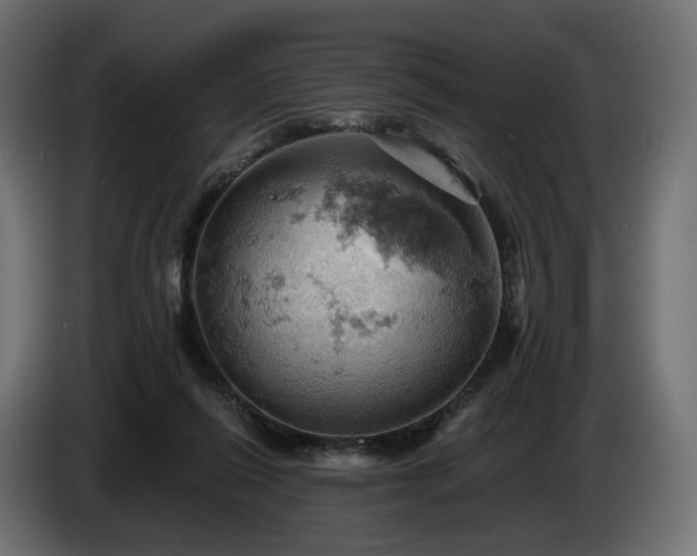 X0000084530262200703021428