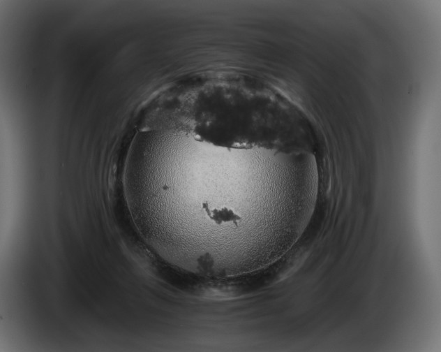 X0000084530263200703021428