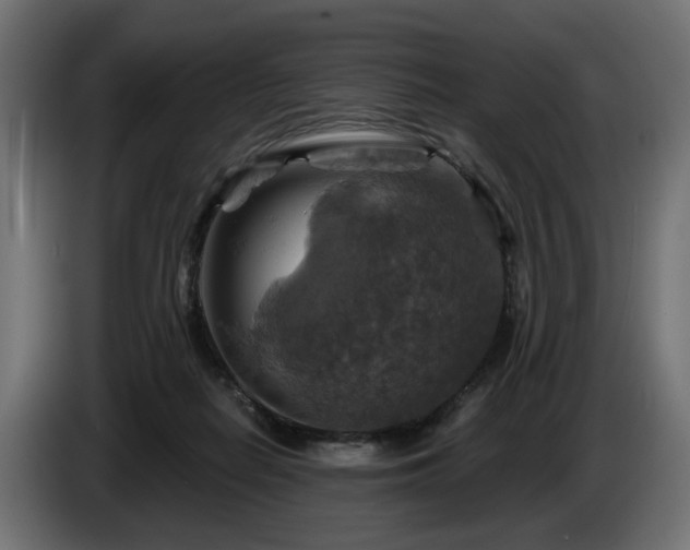 X0000084530266200703021428