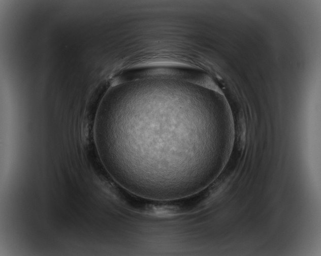 X0000084530268200703021428