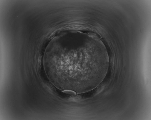 X0000084530271200703021428