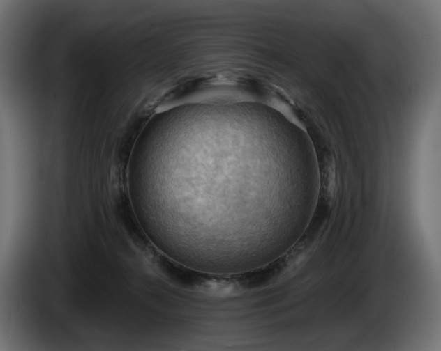 X0000084530272200703021428