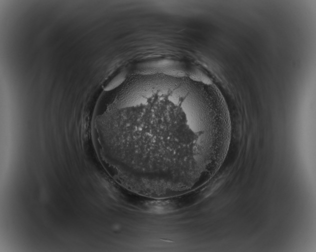 X0000084530273200703021428