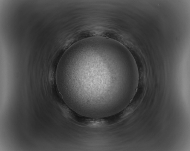 X0000084530274200703021428