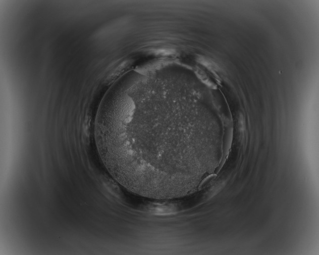 X0000084530275200703021428