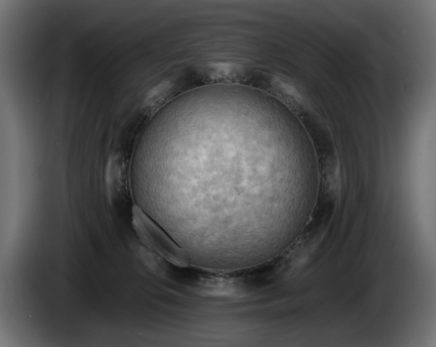X0000084530276200703021428