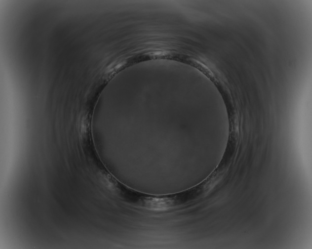 X0000084530277200703021428