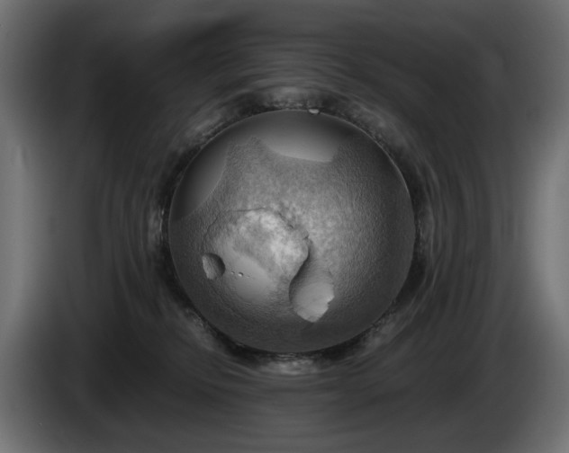 X0000084530278200703021428