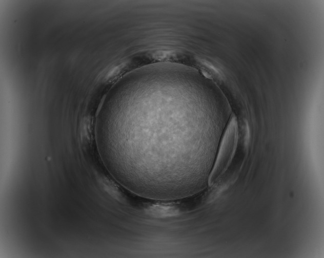 X0000084530280200703021428
