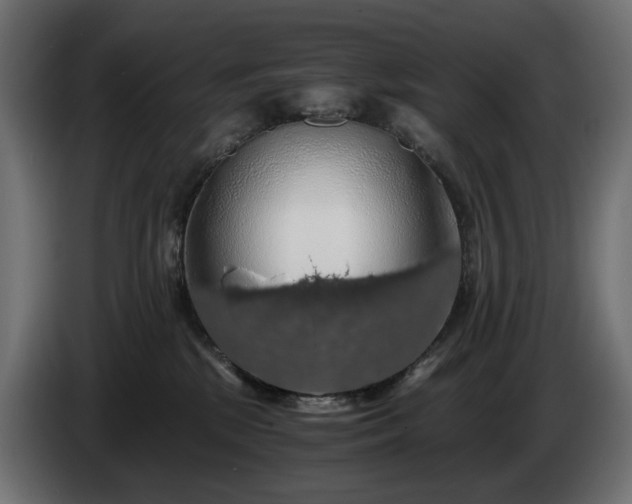 X0000084530281200703021428