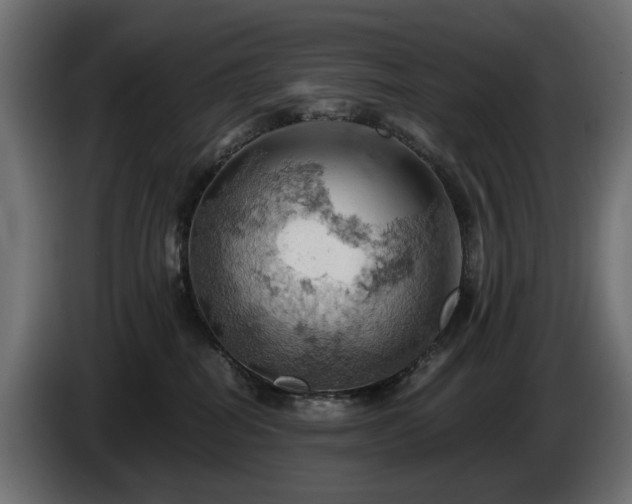 X0000084530282200703021428