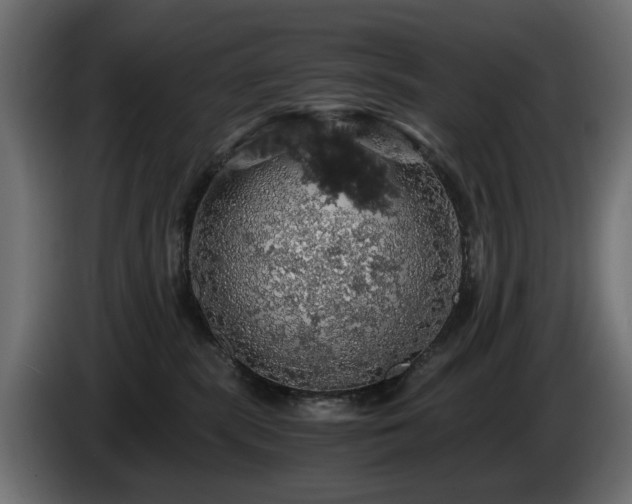 X0000084530283200703021428