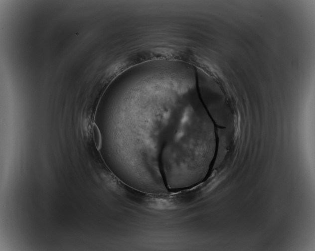 X0000084530285200703021428