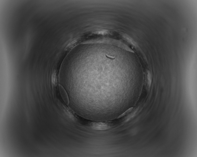 X0000084530287200703021428