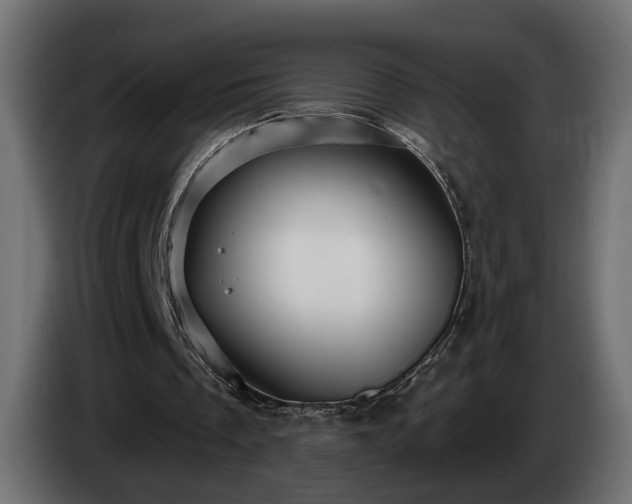 X0000084530289200703021427