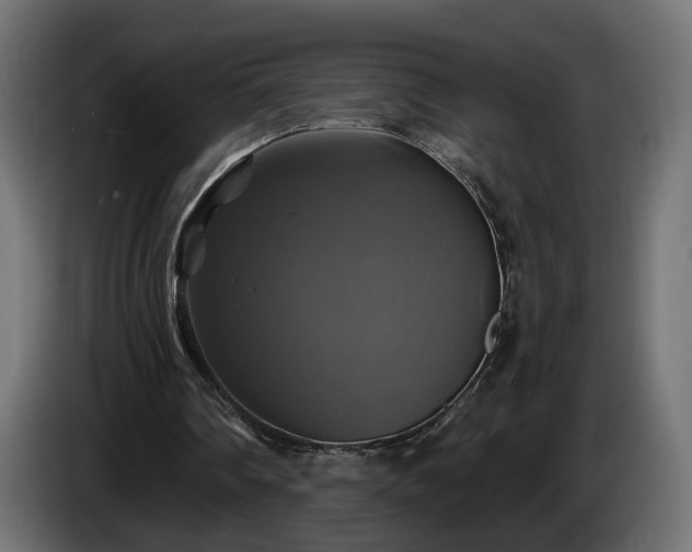 X0000084530290200703021427