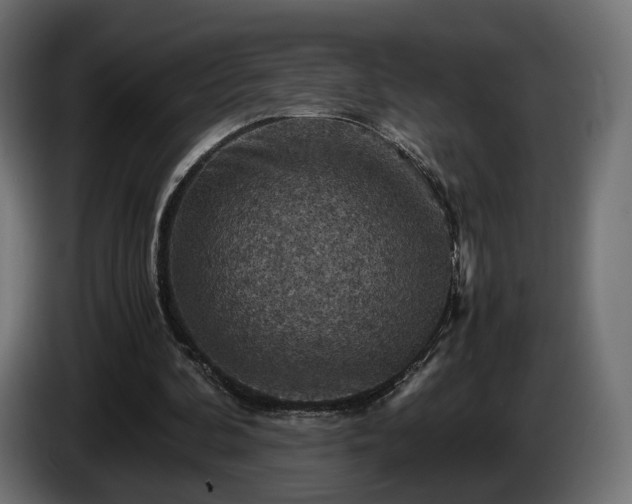 X0000084530292200703021427