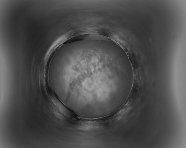 X0000084530293200703021427