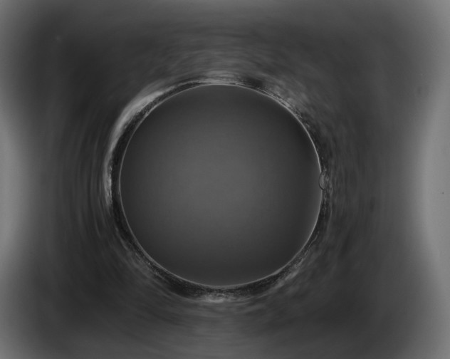 X0000084530294200703021427