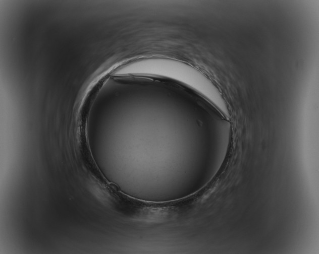 X0000084530295200703021427