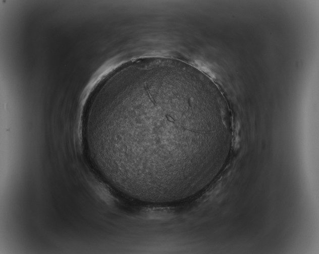 X0000084530296200703021427